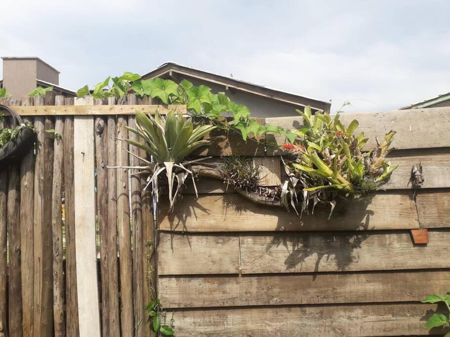 Casa Proximo A Praias, Trilhas E Cachoeiras. Garopaba Bagian luar foto