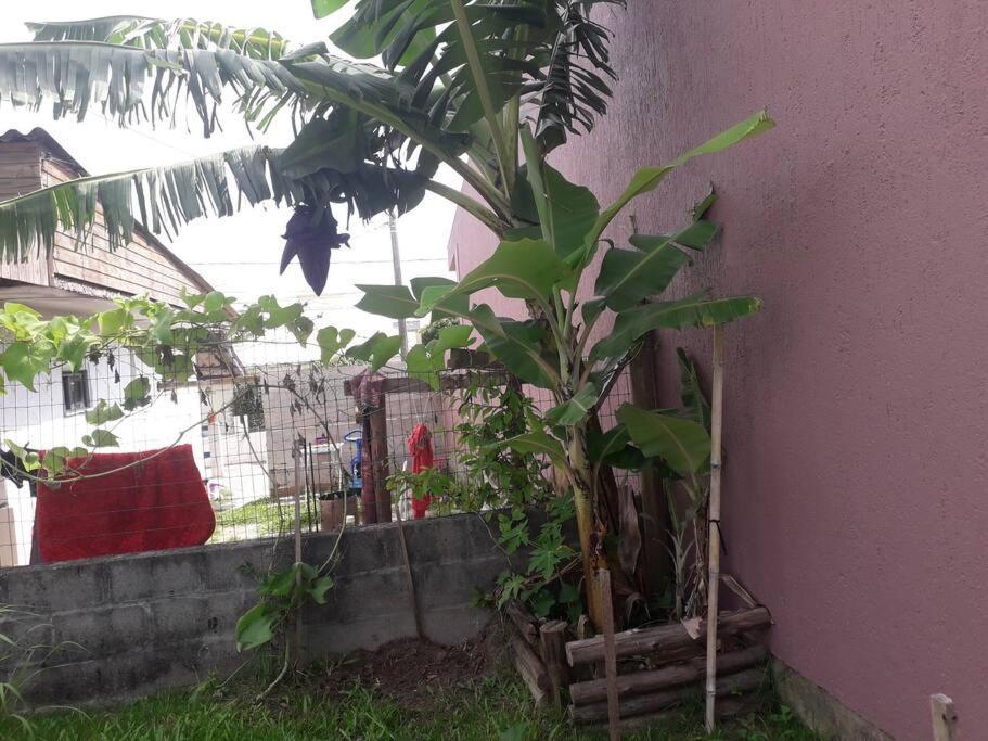 Casa Proximo A Praias, Trilhas E Cachoeiras. Garopaba Bagian luar foto