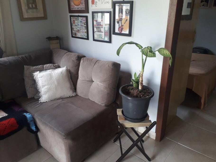 Casa Proximo A Praias, Trilhas E Cachoeiras. Garopaba Bagian luar foto